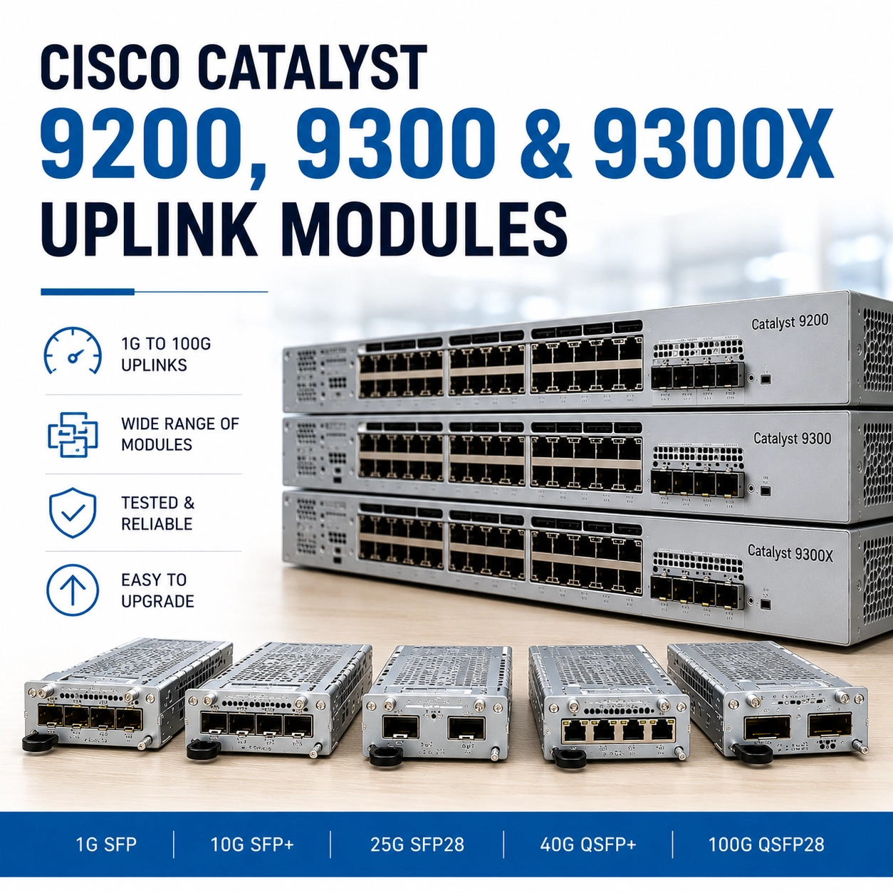Cisco 9200 & 9300 NM guild